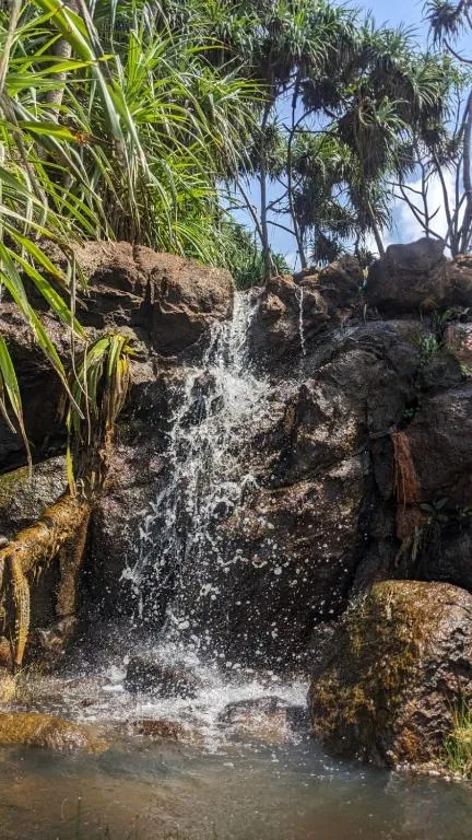 Coastal views and outdoor spaces at Park Paradise Rumassala